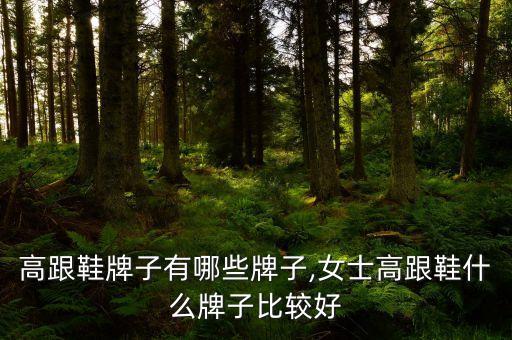 女人高跟鞋牌子有哪些牌子,女士高跟鞋什么牌子比较好?