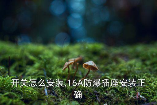 防爆开关怎么安装,16A防爆插座安装正确