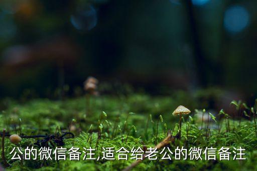 给老公的微信备注,适合给老公的微信备注
