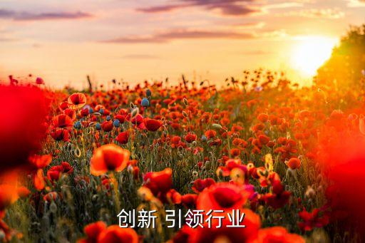 商业创新 引领行业