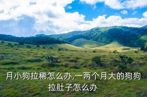 两个月小狗拉稀怎么办,一两个月大的狗狗拉肚子怎么办?