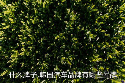 爱腾 什么牌子,韩国汽车品牌有哪些品牌?