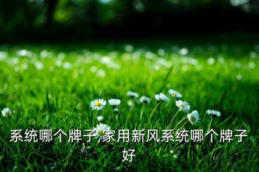 新风系统哪个牌子,家用新风系统哪个牌子好?