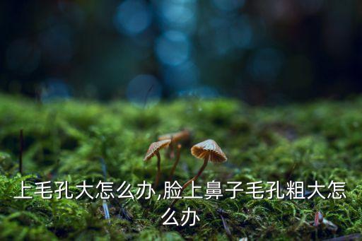 鼻子上毛孔大怎么办,脸上鼻子毛孔粗大怎么办?