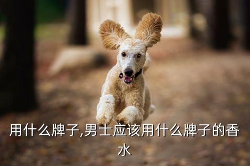 香水用什么牌子,男士应该用什么牌子的香水?