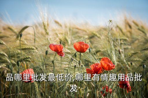 性用品哪里批发最低价,哪里有情趣用品批发?