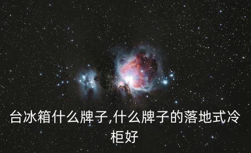 操作台冰箱什么牌子,什么牌子的落地式冷柜好?