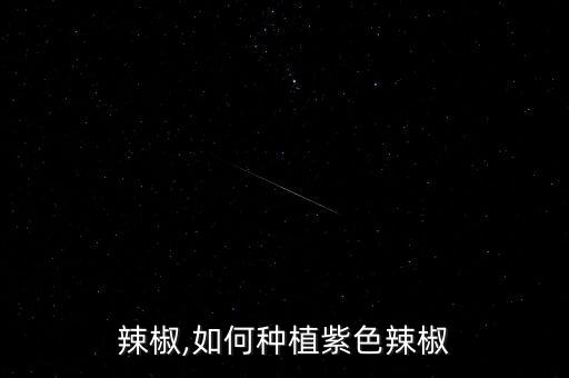 紫色辣椒,如何种植紫色辣椒