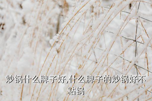 不粘炒锅什么牌子好,什么牌子的炒锅好不粘锅?