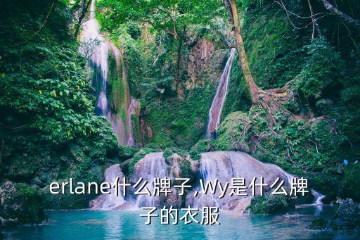erlane什么牌子,Wy是什么牌子的衣服