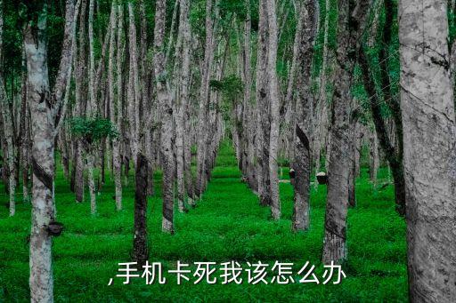 ,手机卡死我该怎么办