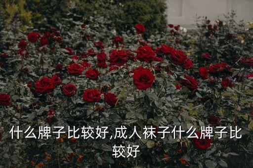 什么牌子比较好,成人袜子什么牌子比较好