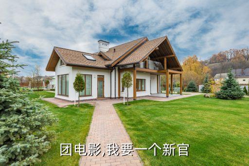 团电影,我要一个新官