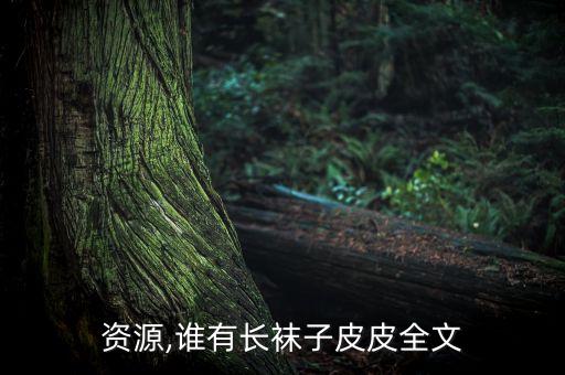 资源,谁有长袜子皮皮全文