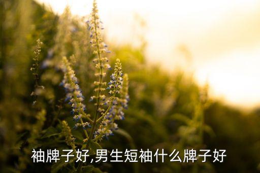 袖牌子好,男生短袖什么牌子好