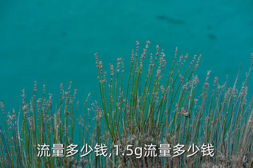 流量多少钱,1.5g流量多少钱