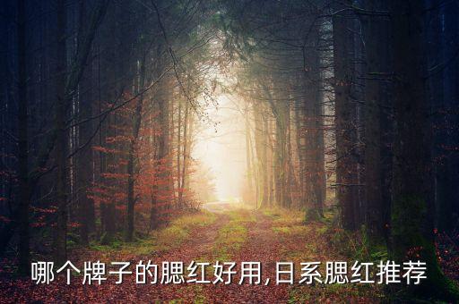 日本哪个牌子的腮红好用,日系腮红推荐