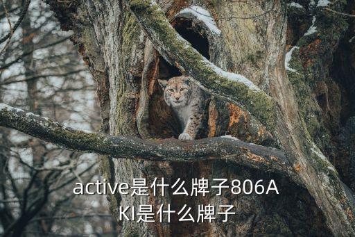  active是什么牌子806A KI是什么牌子