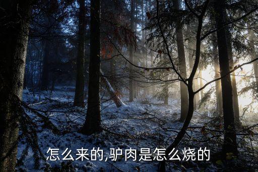 毛驴怎么来的,驴肉是怎么烧的?