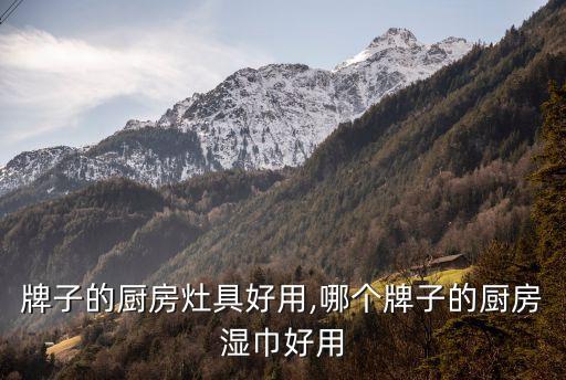 那个牌子的厨房灶具好用,哪个牌子的厨房湿巾好用?