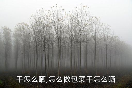 干怎么晒,怎么做包菜干怎么晒