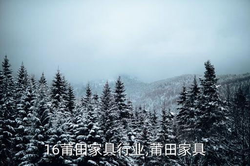 16莆田家具行业,莆田家具