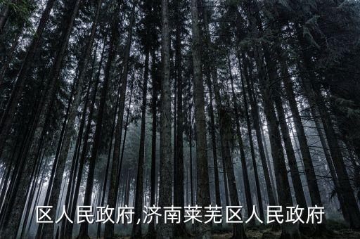 莱芜区人民政府,济南莱芜区人民政府