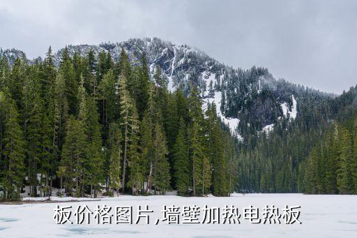板价格图片,墙壁加热电热板