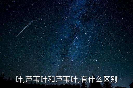 叶,芦苇叶和芦苇叶,有什么区别
