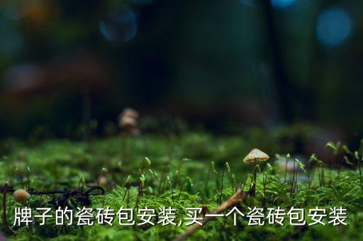 哪个牌子的瓷砖包安装,买一个瓷砖包安装