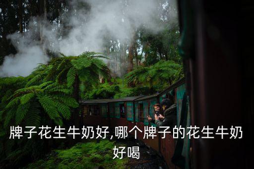 牌子花生牛奶好,哪个牌子的花生牛奶好喝