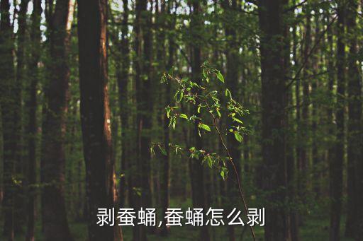 剥蚕蛹,蚕蛹怎么剥