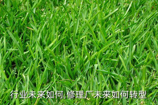 修理行业未来如何,修理厂未来如何转型?