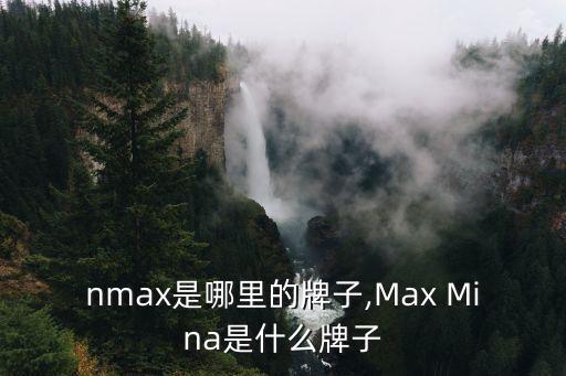 nmax是哪里的牌子,Max Mina是什么牌子