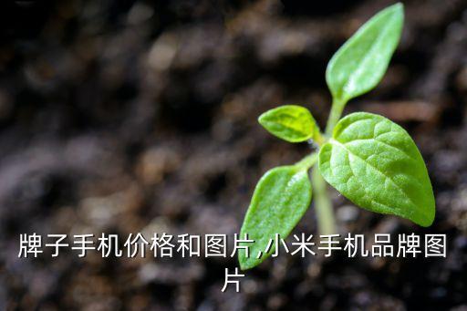 各种牌子手机价格和图片,小米手机品牌图片