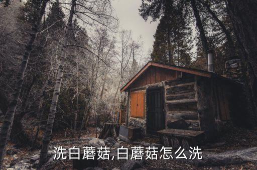 怎么洗白蘑菇,白蘑菇怎么洗?