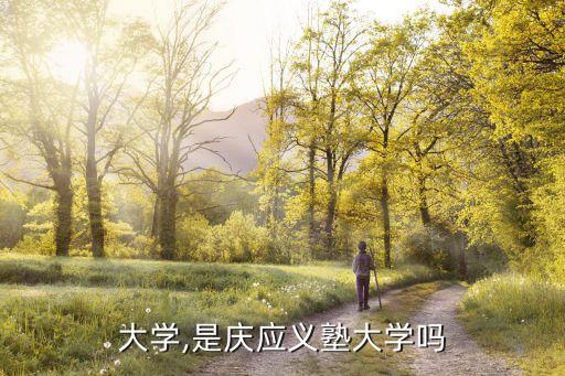 应庆大学,是庆应义塾大学吗?