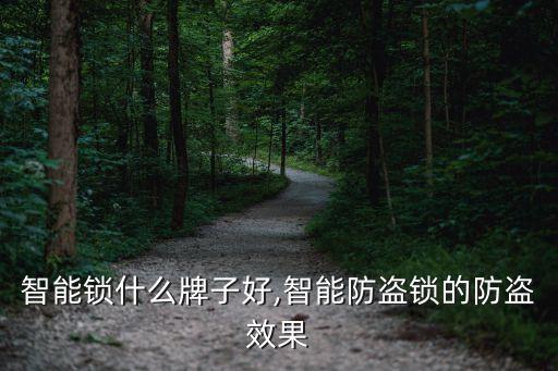 智能锁什么牌子好,智能防盗锁的防盗效果