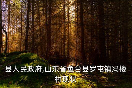 鱼台县人民政府,山东省鱼台县罗屯镇冯楼村现状