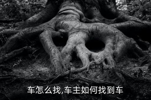 车怎么找,车主如何找到车