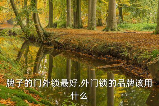 什么牌子的门外锁最好,外门锁的品牌该用什么?