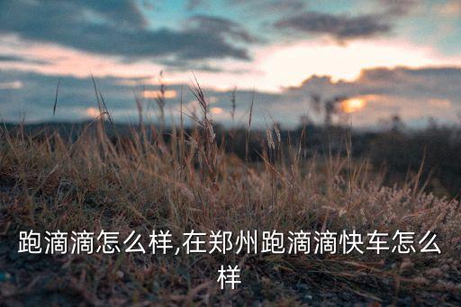 郑州跑滴滴怎么样,在郑州跑滴滴快车怎么样?