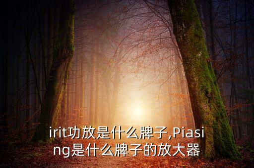 spirit功放是什么牌子,Piasing是什么牌子的放大器?