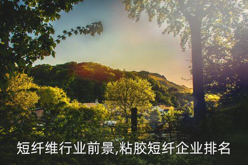 短纤维行业前景,粘胶短纤企业排名