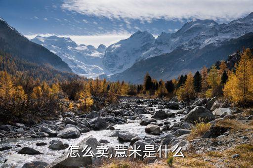 薏米怎么卖,薏米是什么?