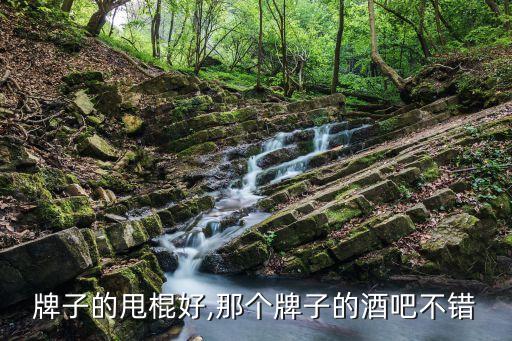 什么牌子的甩棍好,那个牌子的酒吧不错