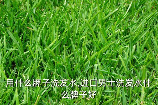 男士用什么牌子洗发水,进口男士洗发水什么牌子好?
