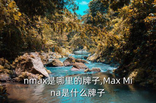 minmax是哪里的牌子,Max Mina是什么牌子?