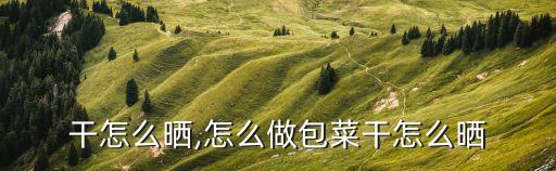 干怎么晒,怎么做包菜干怎么晒