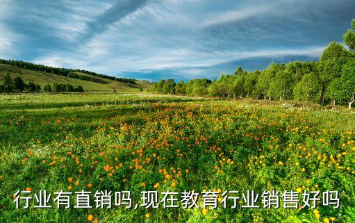 教育行业有直销吗,现在教育行业销售好吗?